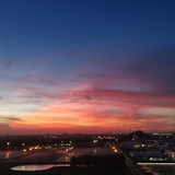 子白