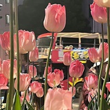 没有吗