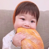 dodo1