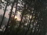 玥乐乐