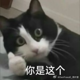 几个字不长啊