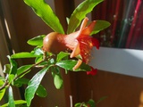 听雨