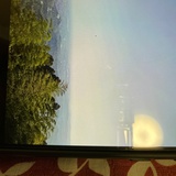 豆友218221716
