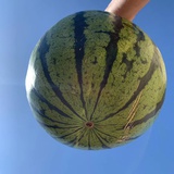 北渔