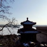 camel骆骆和驼驼