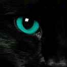 BlackCatLicoric