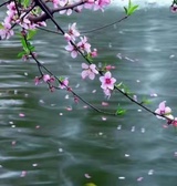 朝闻道