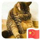 胖虎
