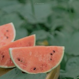 纵情夏日