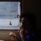 Picklealice