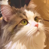 Ami