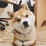今见月