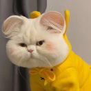 小姬