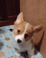 n_n