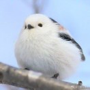 宝水矿特