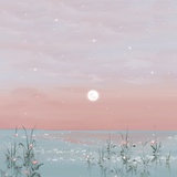 青芷