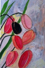 Tulipe noire