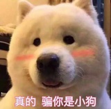 斗牛淞