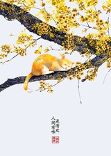 刺猬喵喵