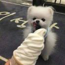 豆友EQhRsrHMGs