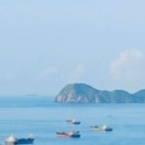 蓝鲸鲸🐳