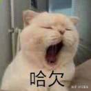 豆友6Wano1dLvQ