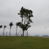 希言东湖