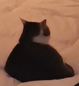 恒远山