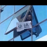 喵了個咪的