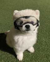 不窥园主人