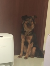 露露爱读书