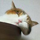 余额0.0