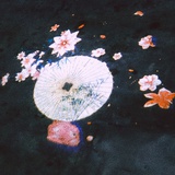 江上枕清风