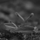 豆友ioLdEF_aY4