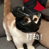 苹果太郎