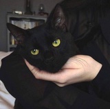 王振坤