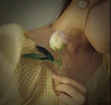 三月榴莲