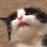 ko