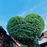 悦子