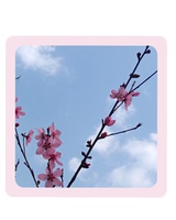 风清