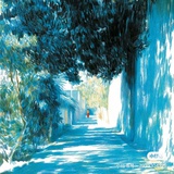 小熊有个屎盆子