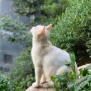 天蝎座妈咪