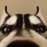 多读书多看报