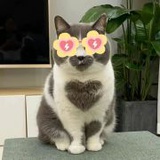 豆友1664997082