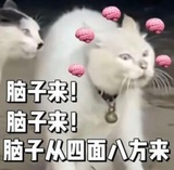禾久