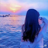 孤星丹鸟