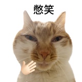 红豆串串