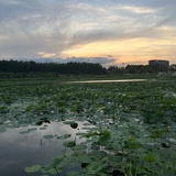 孙小川