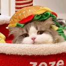 豆友zS86Zfqnyk