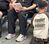 看书专用小毛驴
